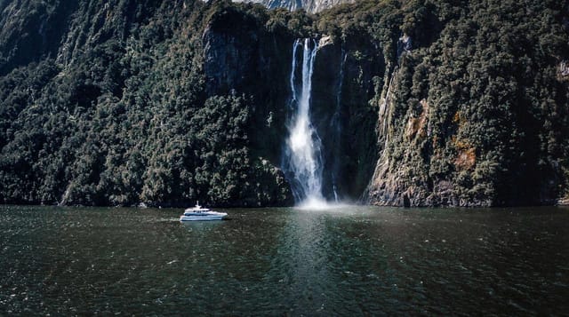 early-afternoon-milford-sound-cruise_1